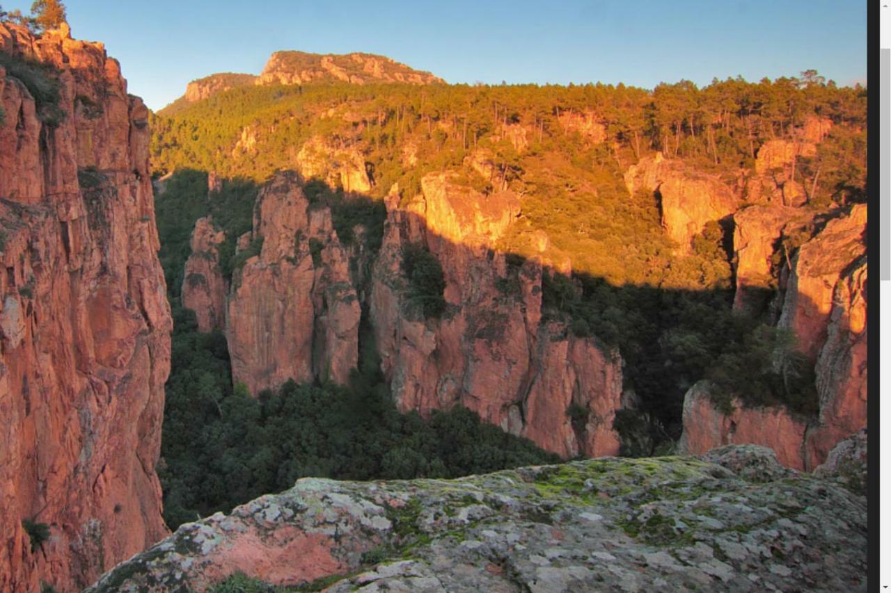 Entre Mer Et Esterel Roquebrune-sur Argens Dış mekan fotoğraf
